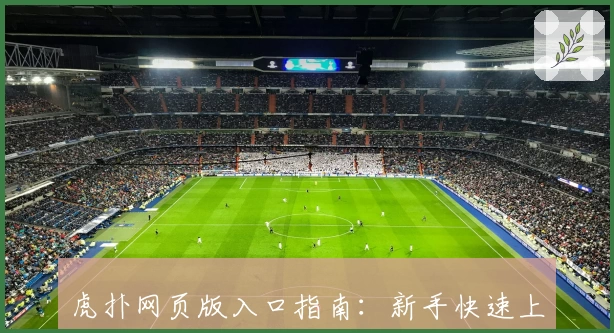 虎扑网页版入口指南：新手快速上手教程与社区精彩亮点解读