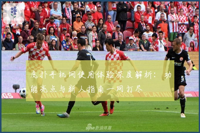 虎扑手机网使用体验深度解析：功能亮点与新人指南一网打尽