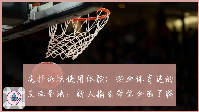 虎扑论坛使用体验：热血体育迷的交流圣地，新人指南带你全面了解