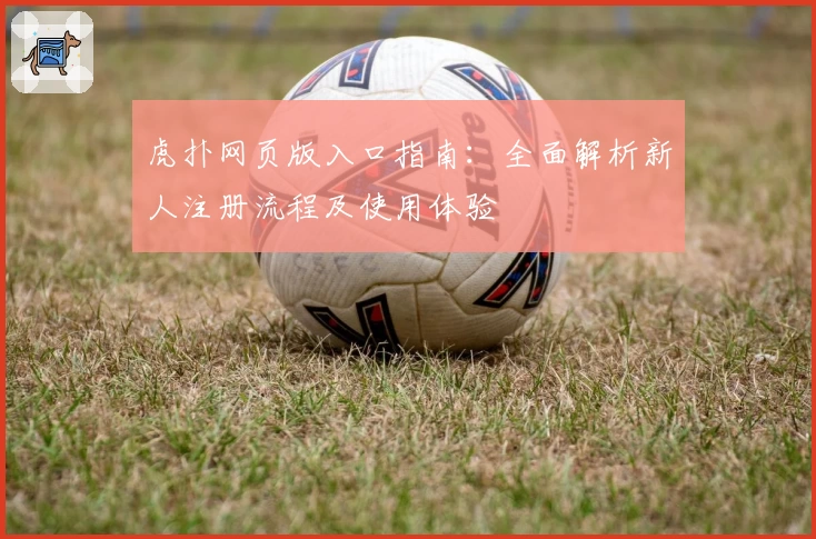 虎扑网页版入口指南:全面解析新人注册流程及使用体验