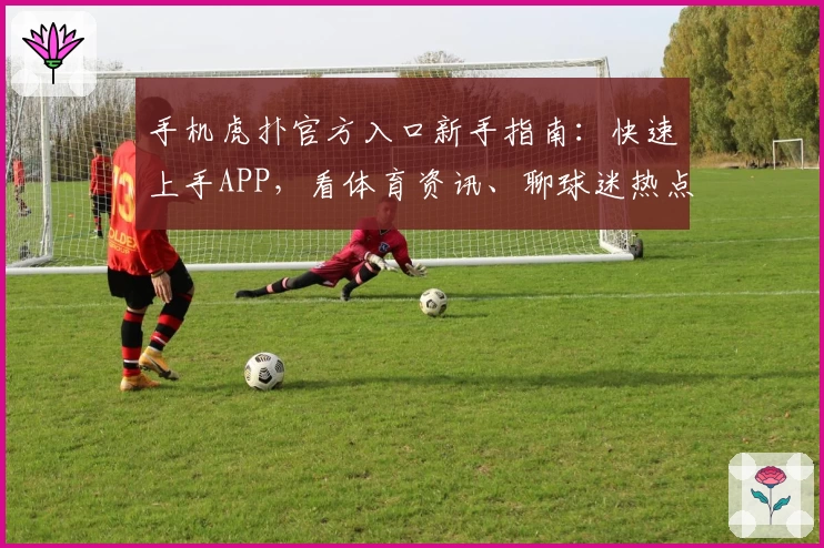 手机虎扑官方入口新手指南：快速上手APP，看体育资讯、聊球迷热点的正确姿势