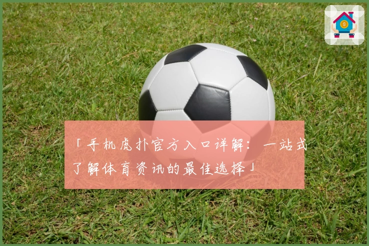 「手机虎扑官方入口详解：一站式了解体育资讯的最佳选择」